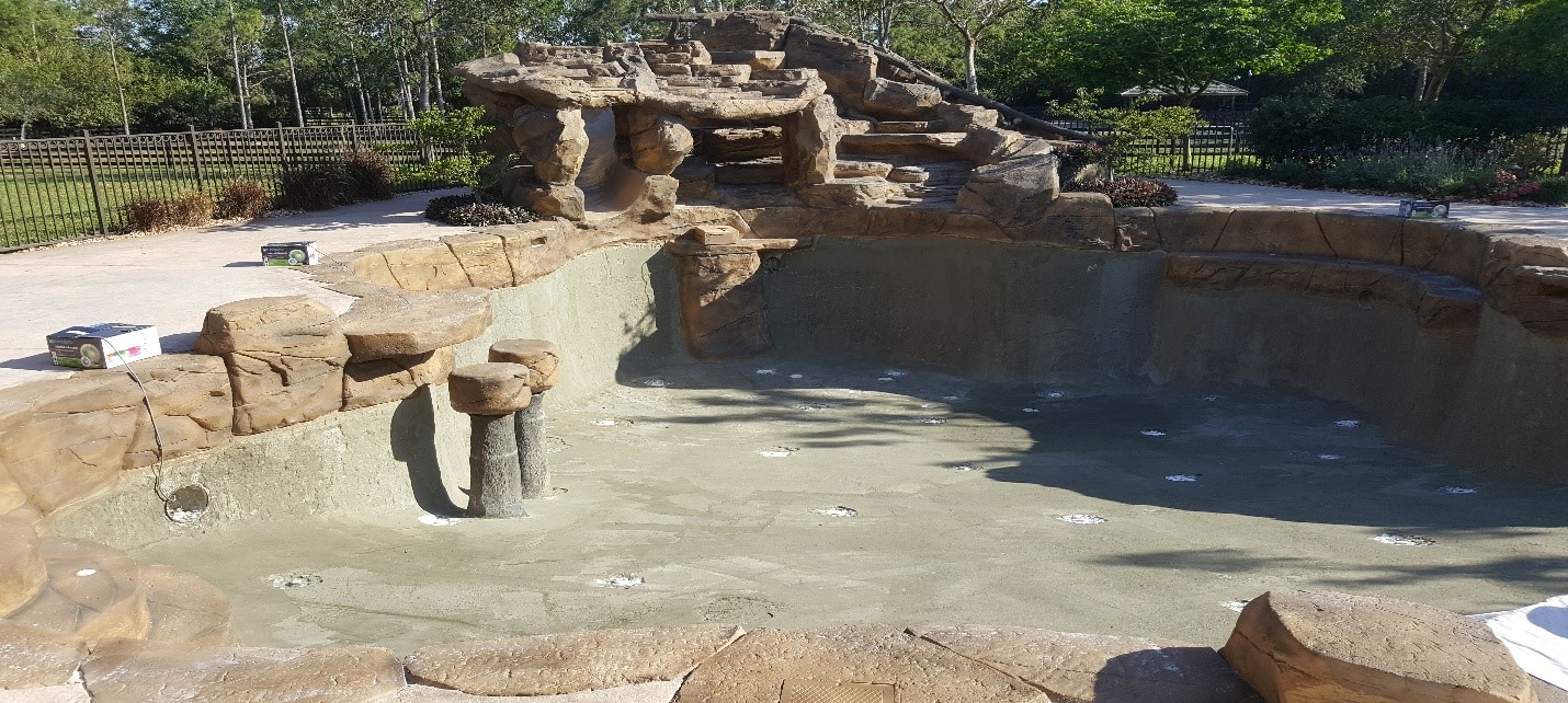 Robert Thompson backyard before transformation