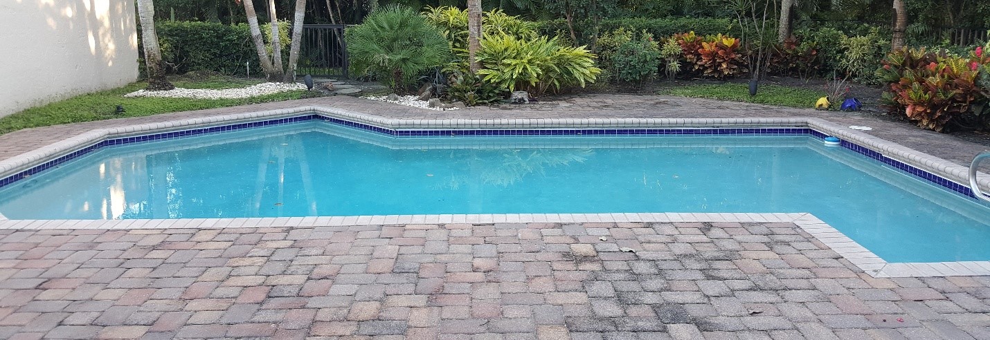 Sarah & John Mitchell backyard before transformation